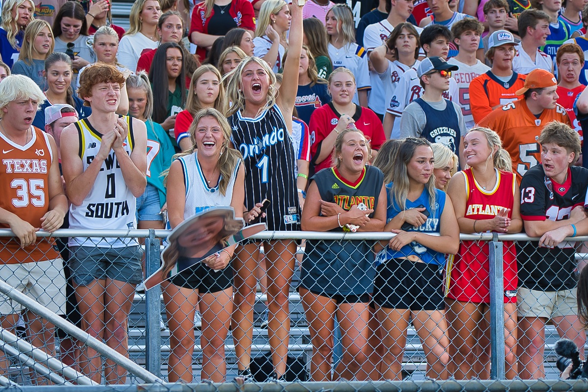 Fans cheering in the stands
